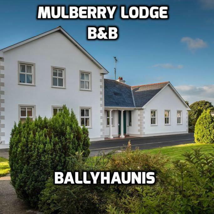 Mulberry Lodge Guest House Ballyhaunis Exterior foto